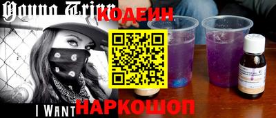 молекула духа Кингисепп