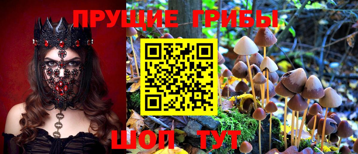 Галлюциногенные грибы мухоморы Кохма