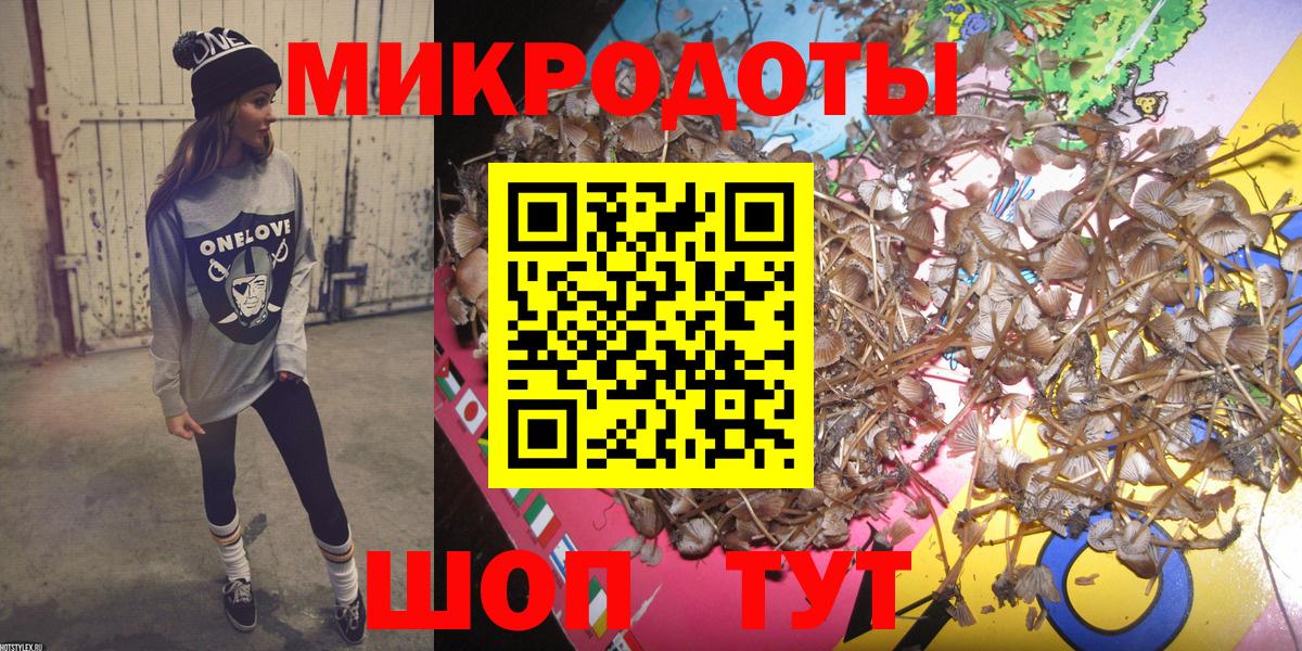 Кохма  Псилоцибиновые грибы MAGIC MUSHROOMS  что такое   Вход с VPN 